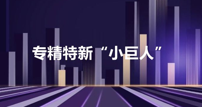 4762家！國家級專精特新“小巨人”企業(yè)名單分析匯總！