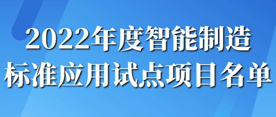 2022年度智能制造標(biāo)準(zhǔn)應(yīng)用試點(diǎn)項目名單