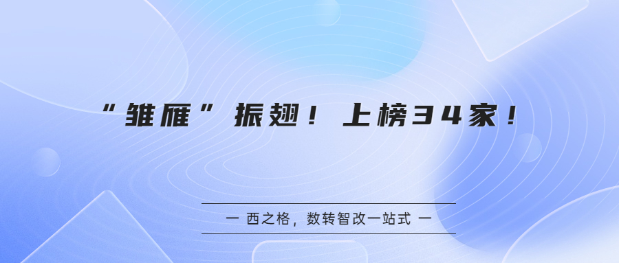 “雛雁”振翅！上榜34家！