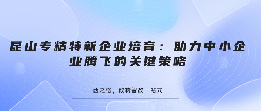  昆山專精特新企業(yè)培育：助力中小企業(yè)騰飛的關(guān)鍵策略